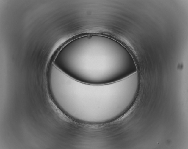 X0000090911122200707301027