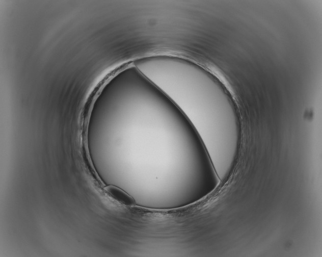 X0000090911124200707301027