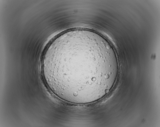 X0000090911125200707301027