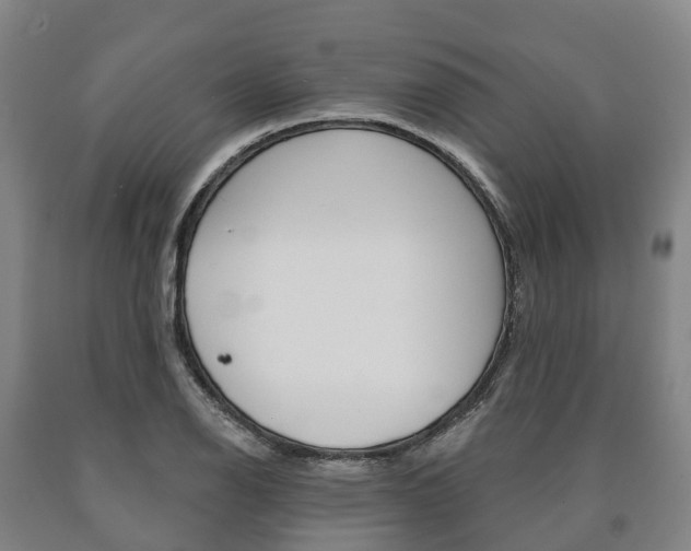 X0000090911126200707301027