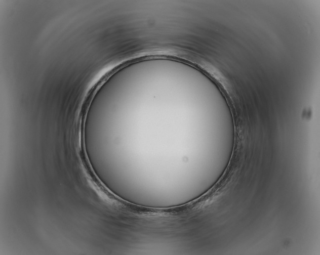 X0000090911127200707301027