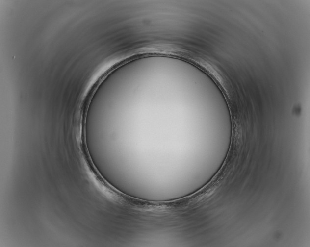 X0000090911131200707301027