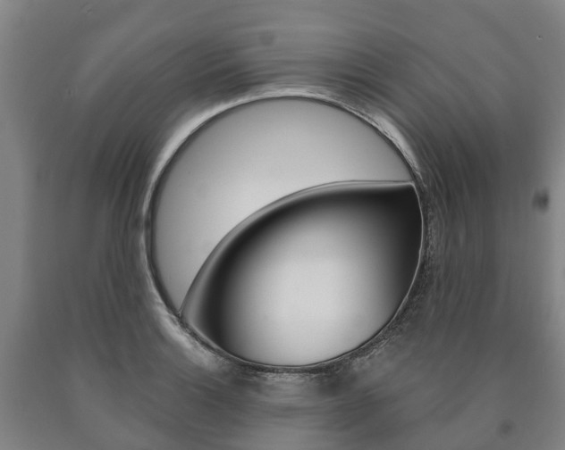 X0000090911132200707301027