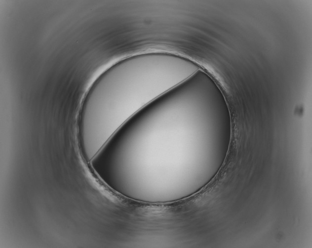 X0000090911134200707301027