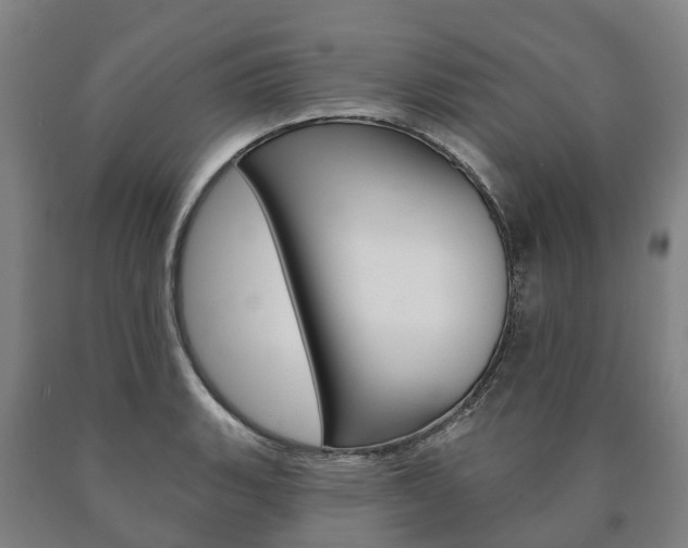X0000090911135200707301027