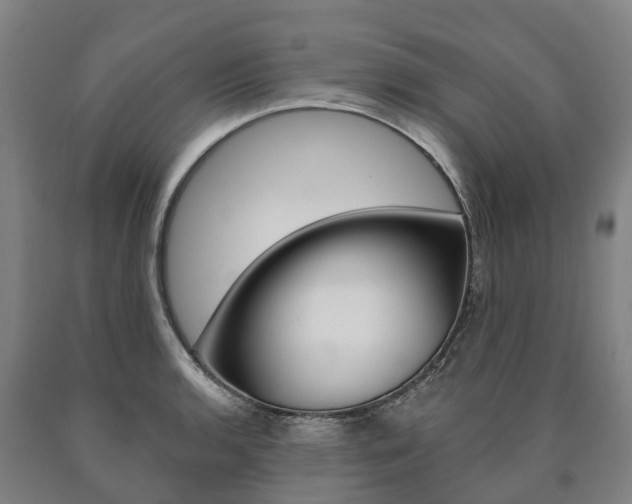 X0000090911136200707301027