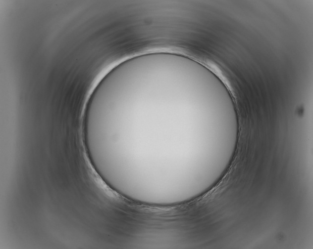 X0000090911140200707301027