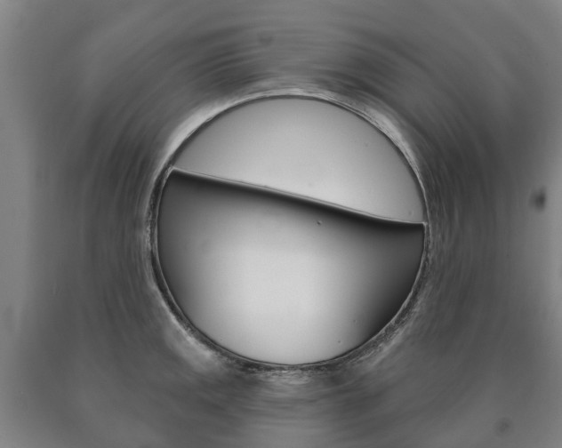 X0000090911141200707301027