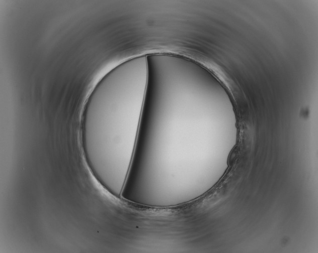 X0000090911143200707301027