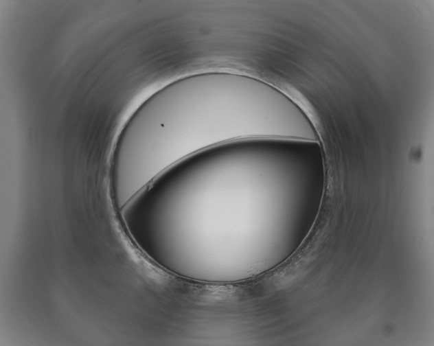 X0000090911144200707301027