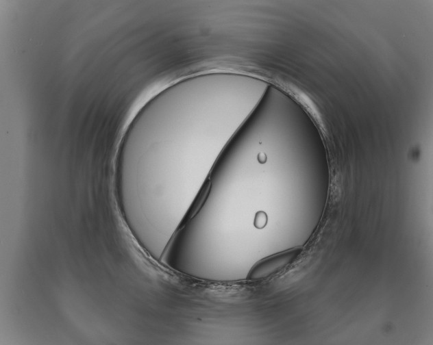 X0000090911146200707301027