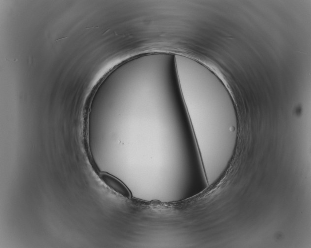 X0000090911147200707301027