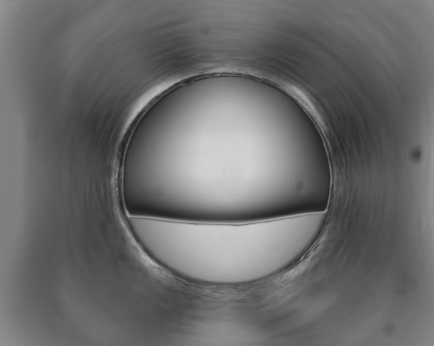 X0000090911149200707301027