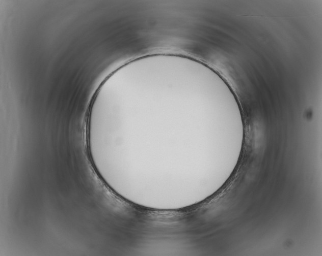 X0000090911150200707301027