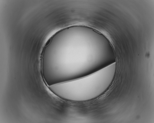 X0000090911151200707301027