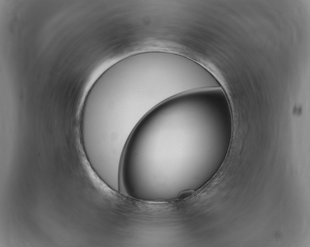 X0000090911152200707301027