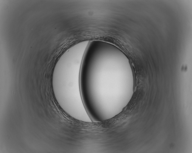 X0000090911153200707301027