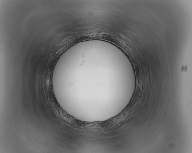X0000090911154200707301027