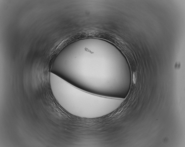 X0000090911155200707301027