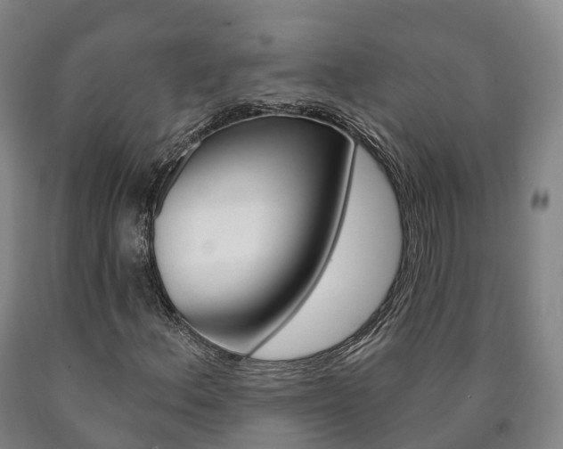 X0000090911156200707301027