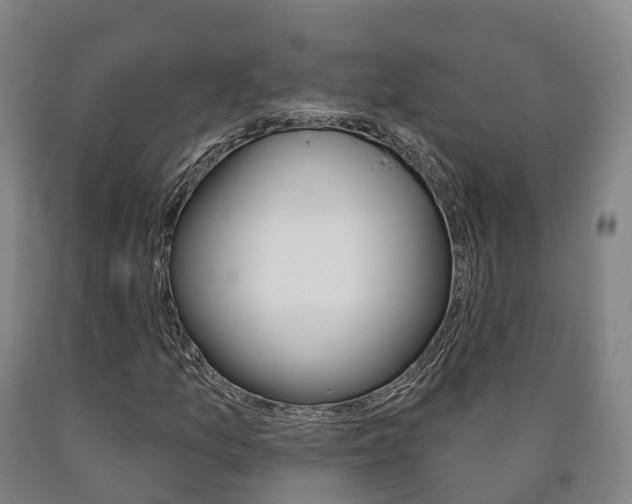 X0000090911157200707301027