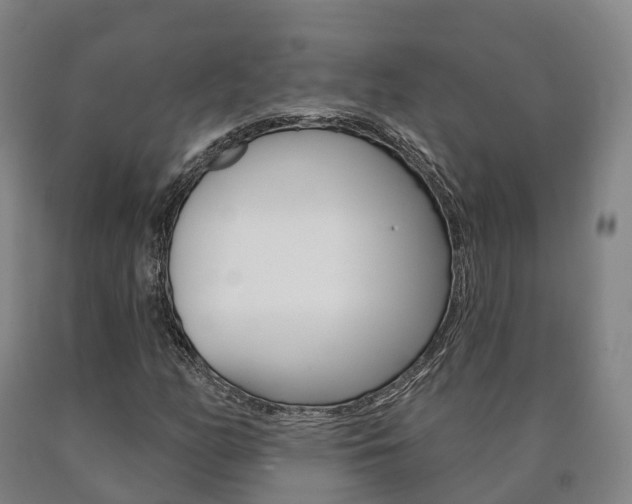 X0000090911158200707301027