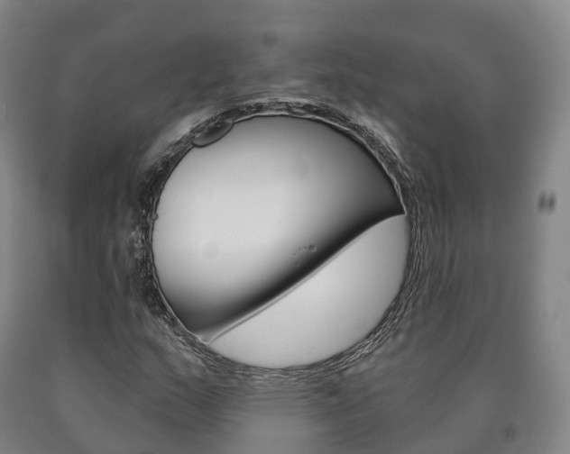 X0000090911159200707301027
