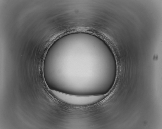 X0000090911161200707301027