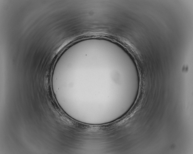 X0000090911162200707301027
