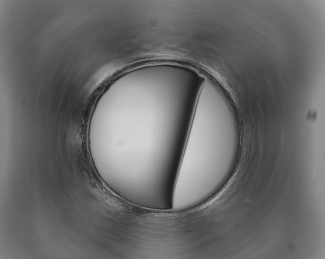 X0000090911163200707301027