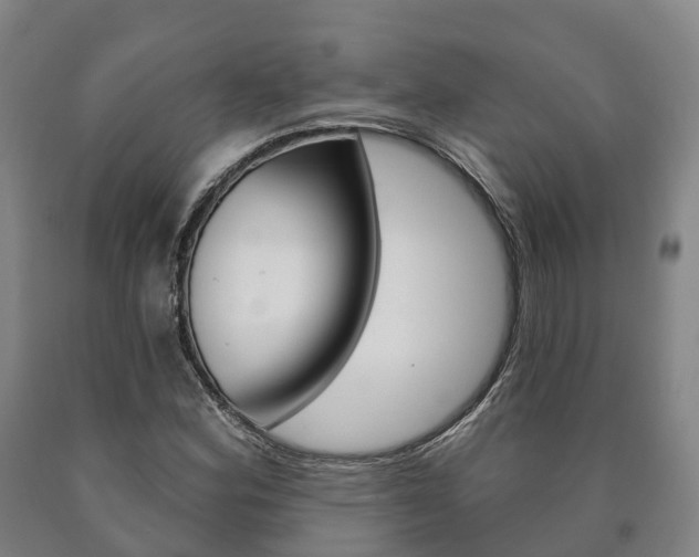 X0000090911164200707301027