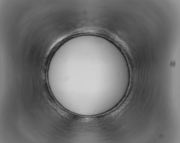 X0000090911166200707301027