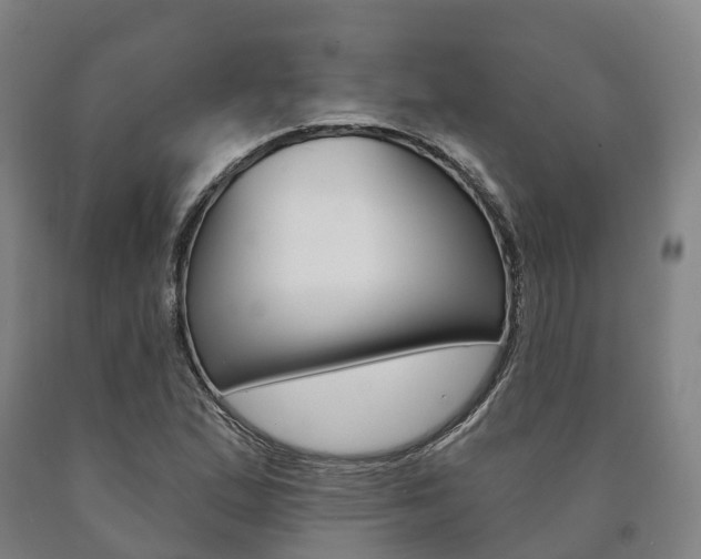 X0000090911167200707301027
