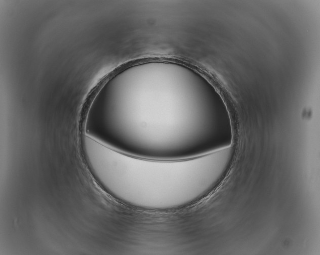 X0000090911168200707301027