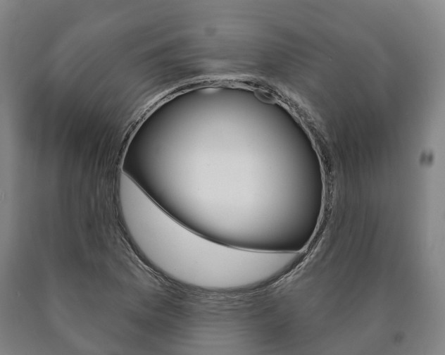 X0000090911169200707301027
