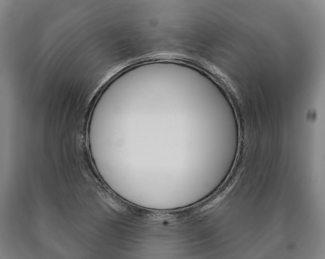 X0000090911170200707301027