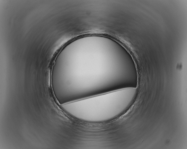 X0000090911171200707301027