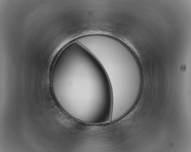 X0000090911173200707301026