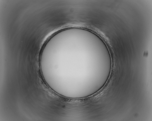 X0000090911174200707301026