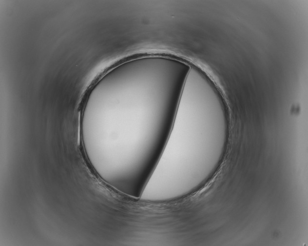 X0000090911175200707301026