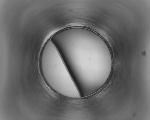 X0000090911179200707301026