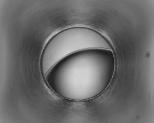 X0000090911181200707301026