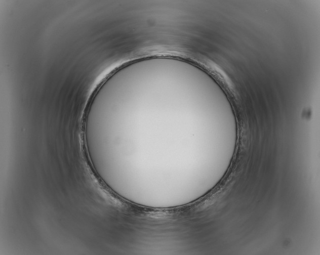 X0000090911182200707301026