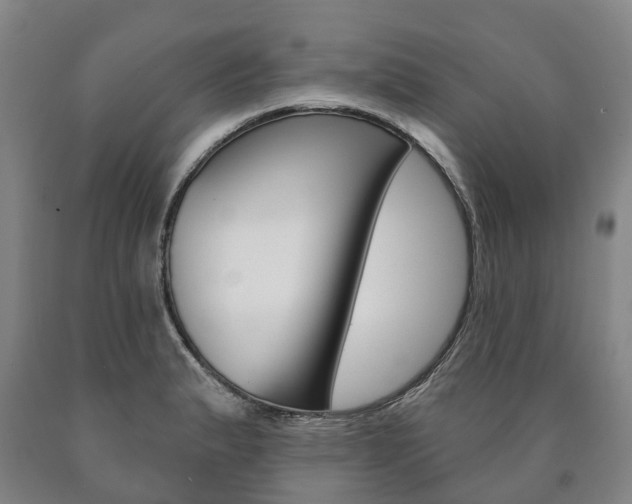 X0000090911183200707301026