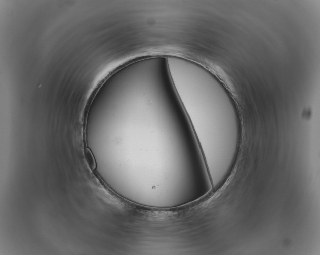 X0000090911184200707301026