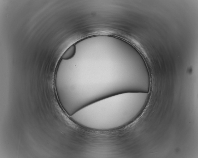 X0000090911186200707301026