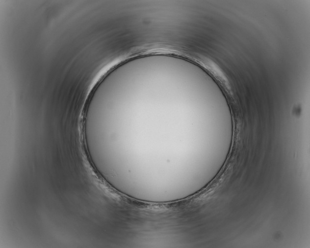X0000090911190200707301026