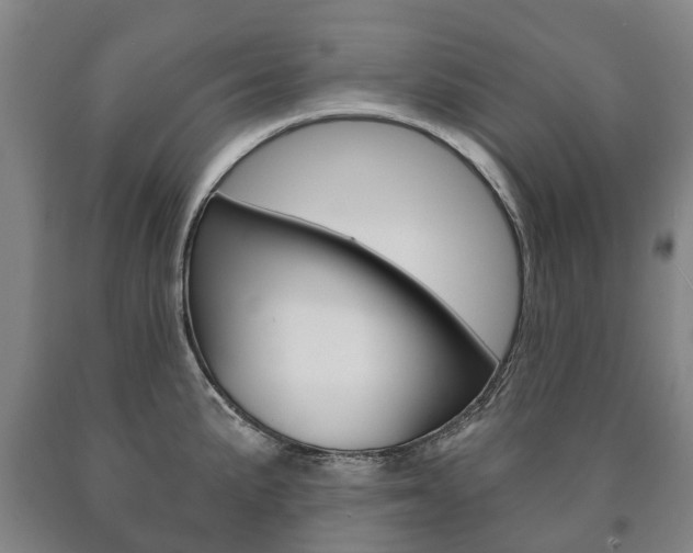 X0000090911191200707301026
