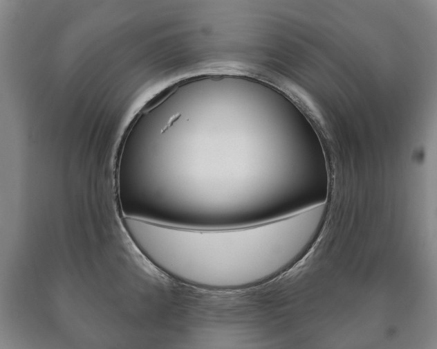 X0000090911192200707301026