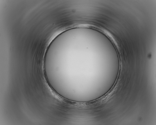 X0000090911194200707301026